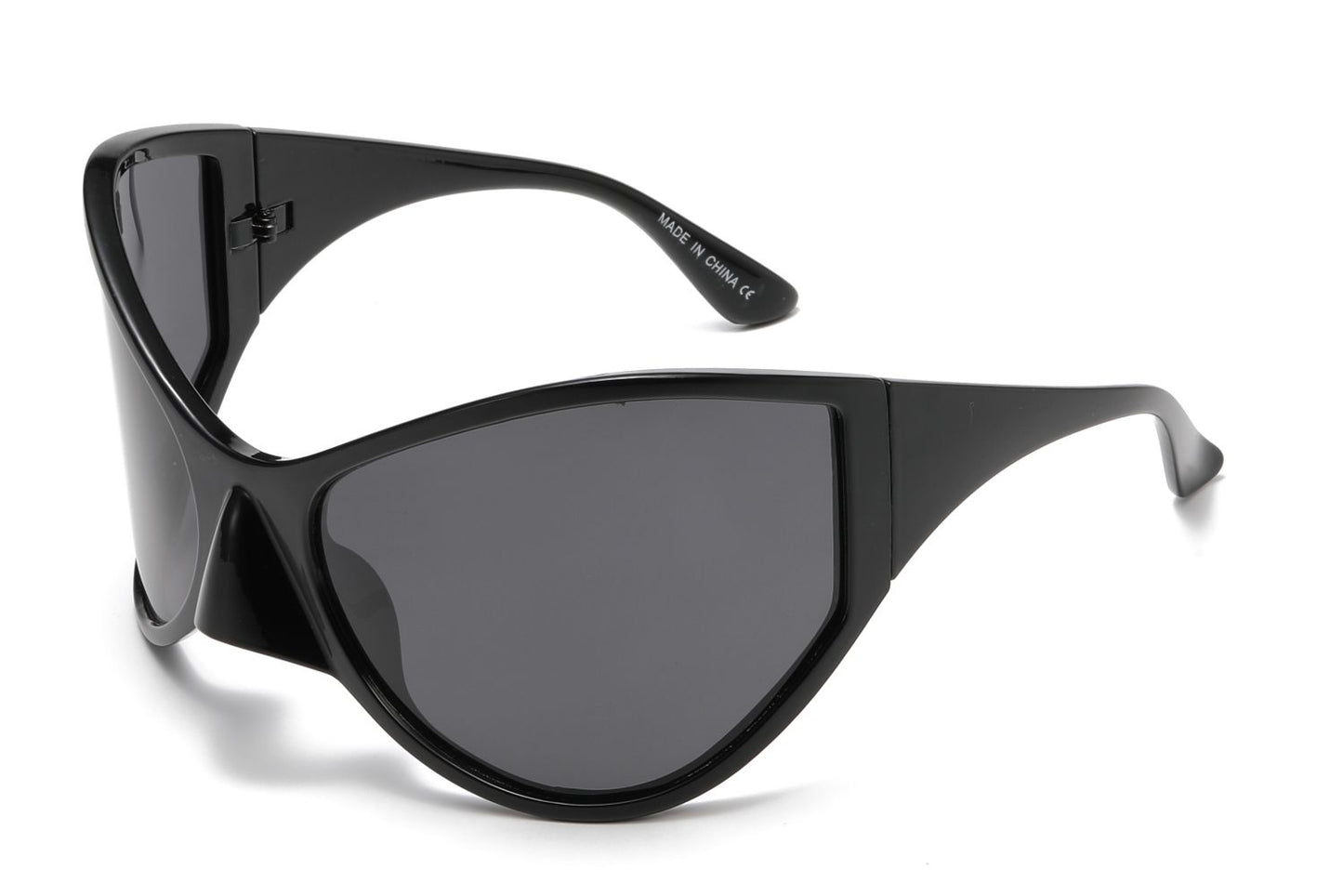 EA1940 Polarized Lens (1 dozen)
