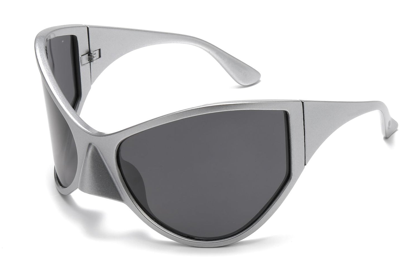 EA1940 Polarized Lens (1 dozen)