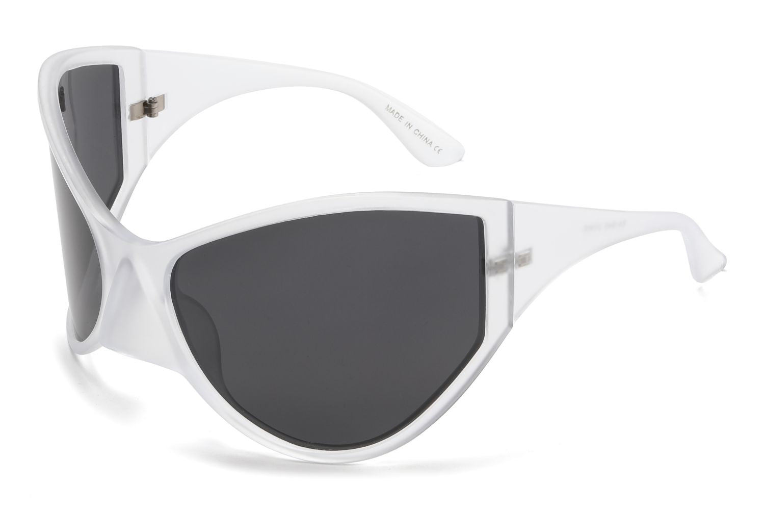 EA1940 Polarized Lens (1 dozen)