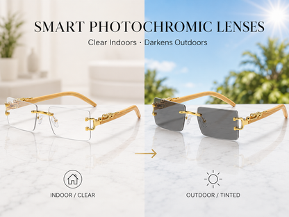 EP7002 Photochromic lenses (1dozen)