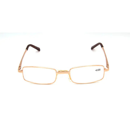 RA4117(1 dozen)